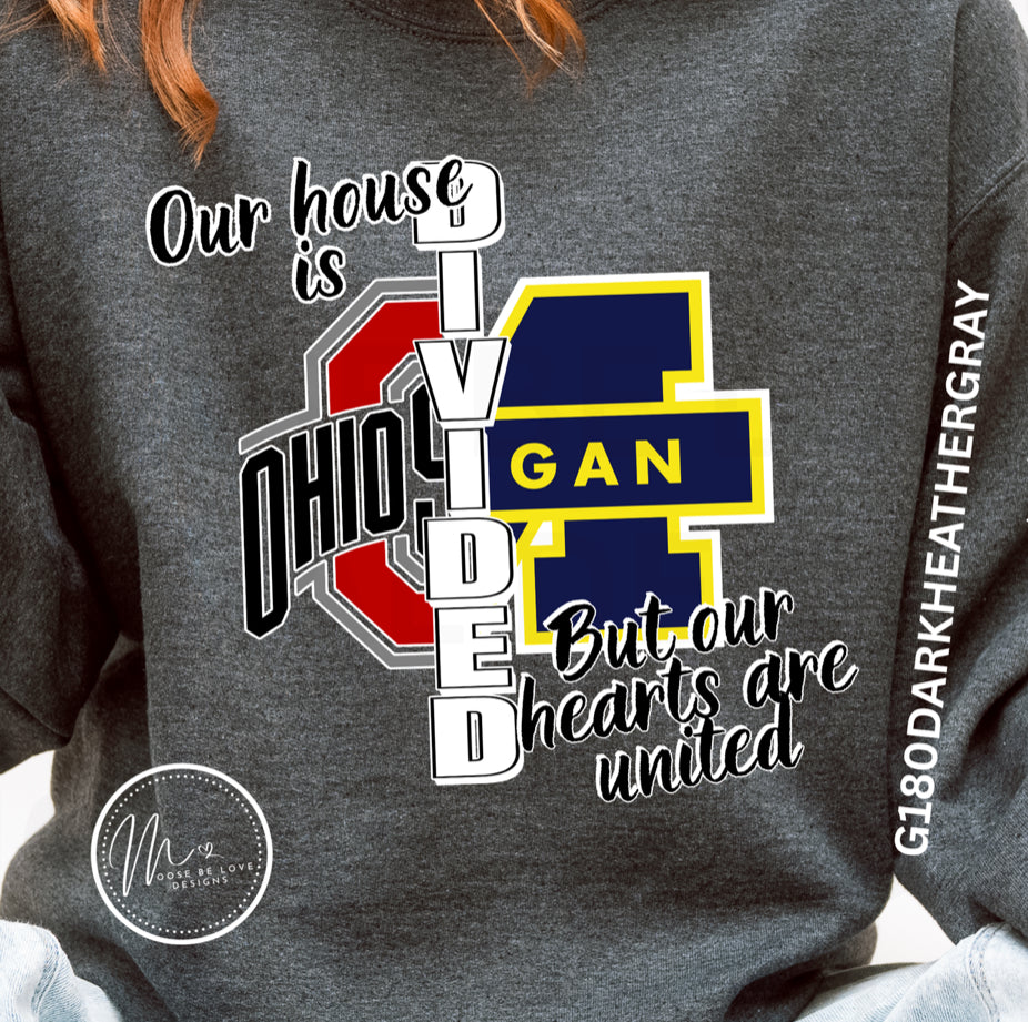 HOUSE DIVIDED OHIO VS MICHIGAN
