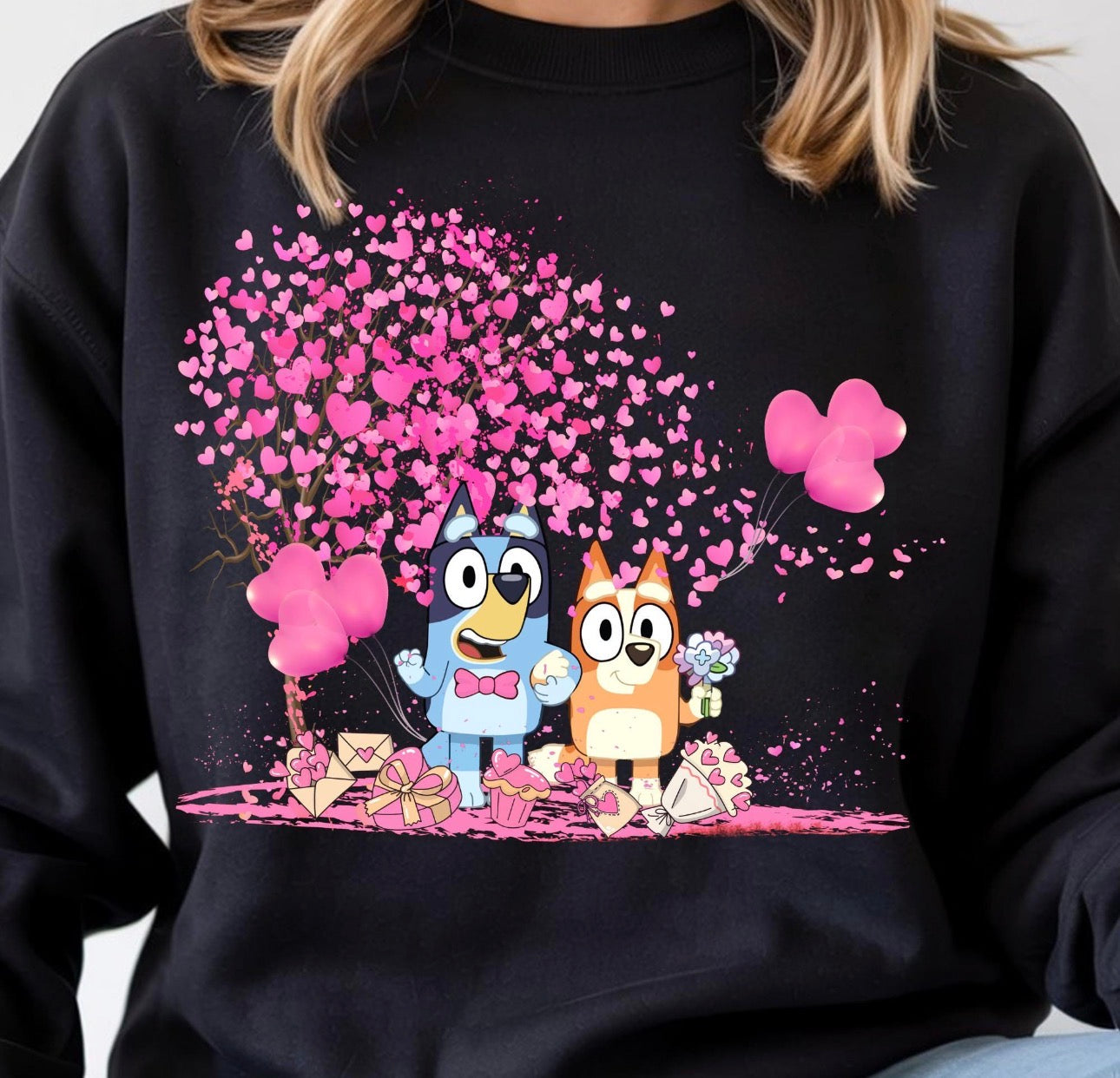 Bluey Valentines Day