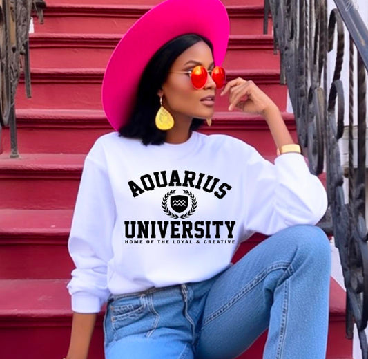 Aquarius University