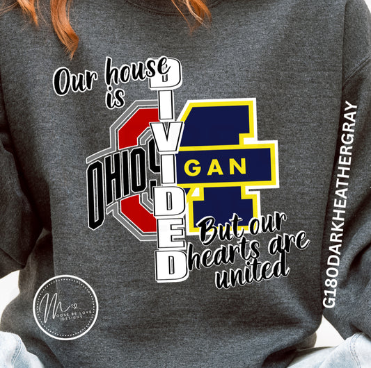 HOUSE DIVIDED OHIO VS MICHIGAN